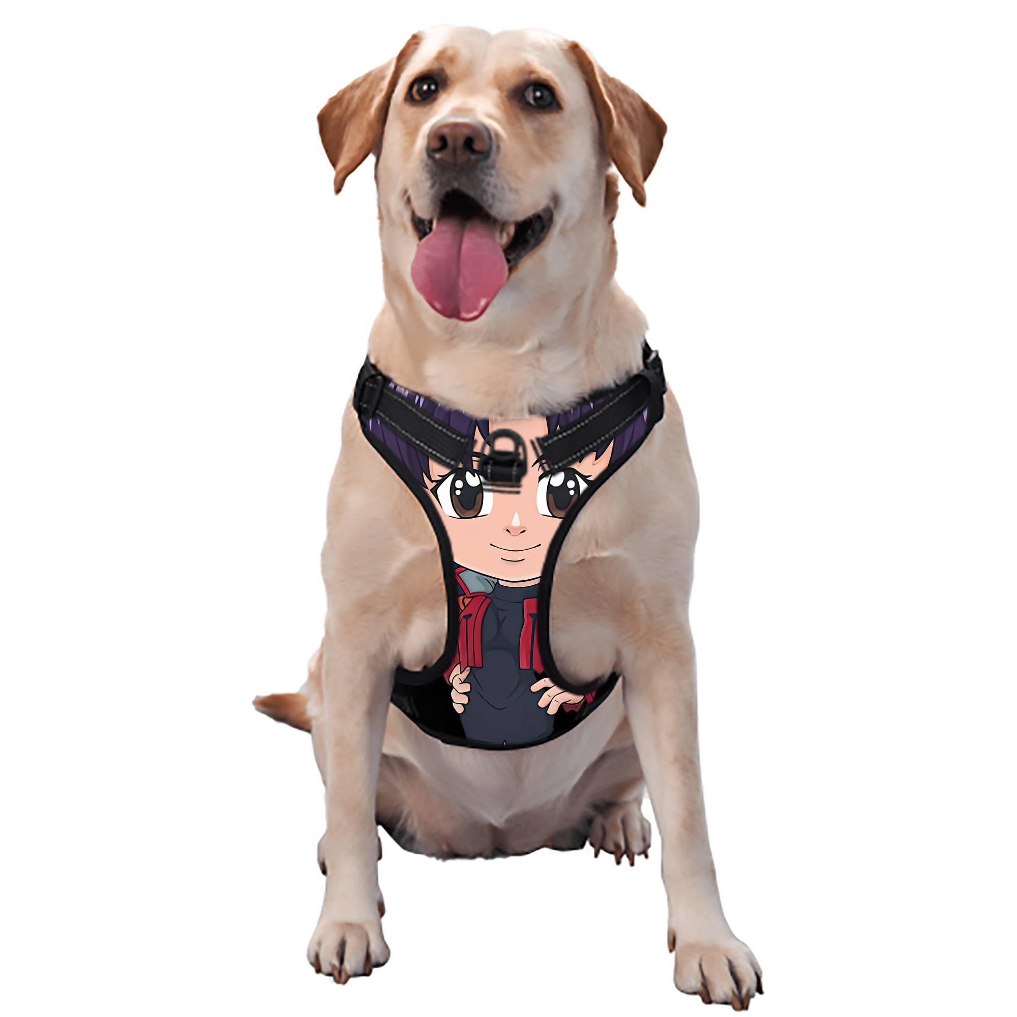（画像用） EVA 新世紀エヴァンゲリオン ペット用ハーネス